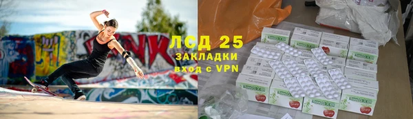 молекула духа Козельск