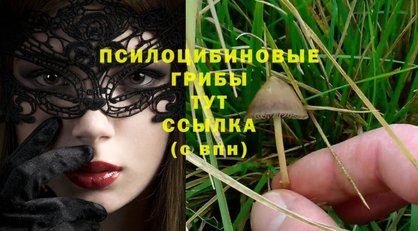 молекула духа Козельск