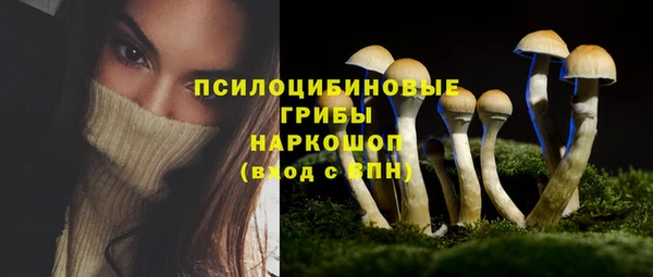 бошки Киренск