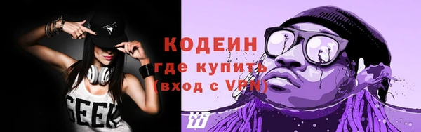 молекула духа Козельск
