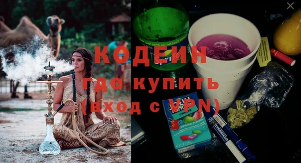 молекула духа Козельск