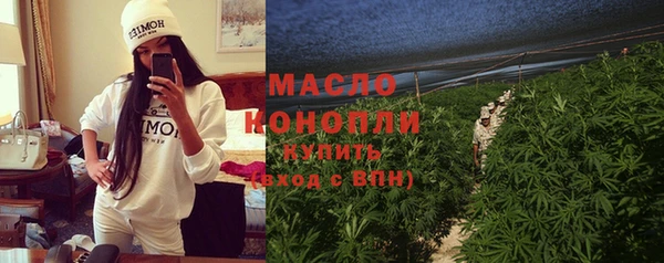молекула духа Козельск