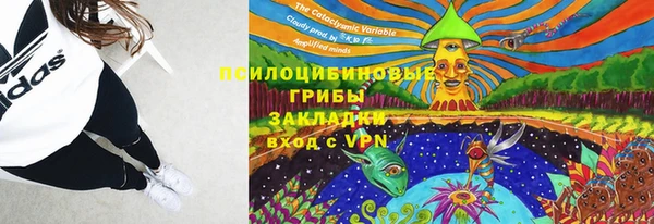 мяу мяу мука Кодинск