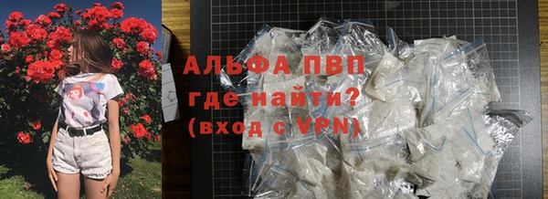 молекула духа Козельск