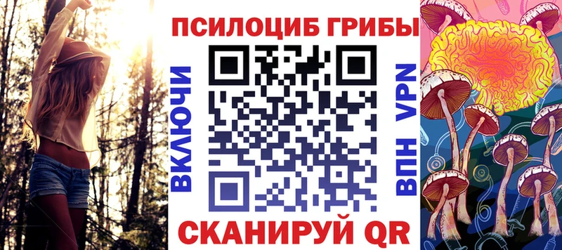 Купить закладки  Ахтубинск  Псилоцибиновые грибы прущие грибы 
